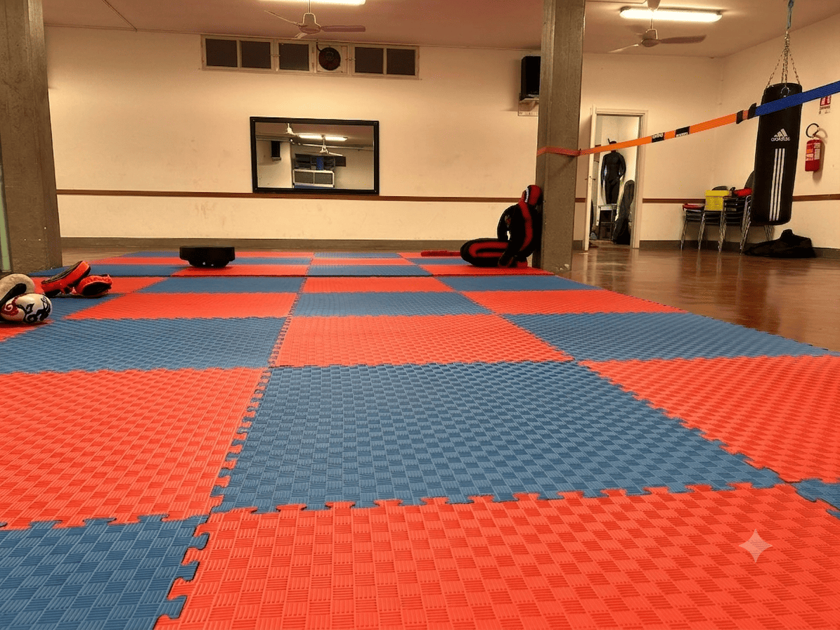 Palestra
